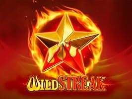 Wild Streak screenshot